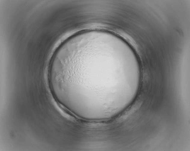 X0000112391429200909032004