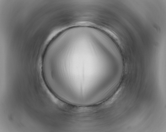 X0000112391430200909032004