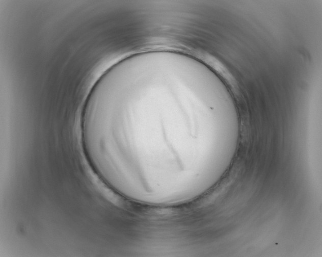 X0000112391431200909032004