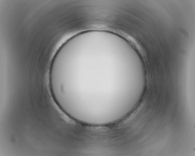 X0000112391432200909032004