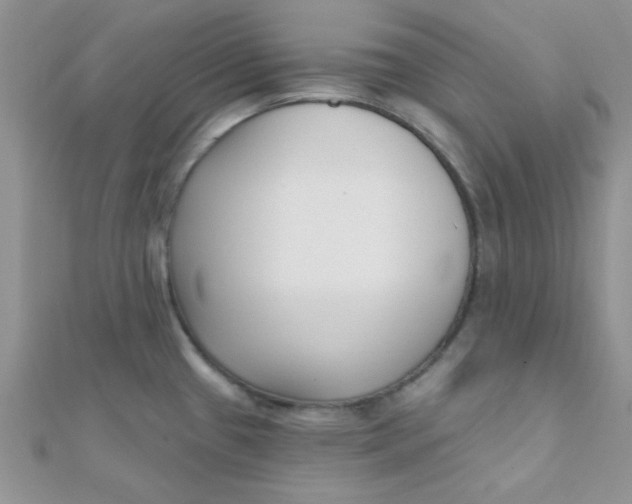 X0000112391433200909032004