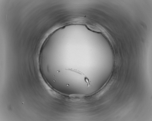 X0000112391434200909032004