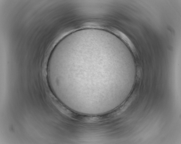 X0000112391435200909032004