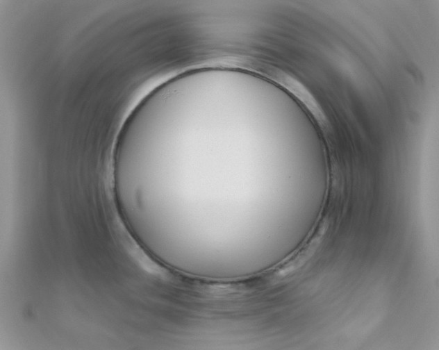 X0000112391436200909032004