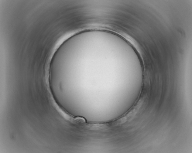 X0000112391437200909032004