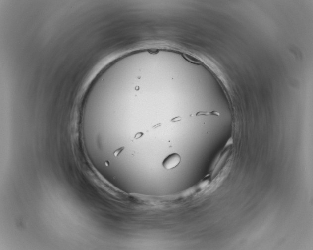 X0000112391438200909032004