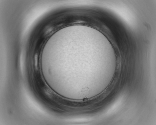 X0000112391439200909032004