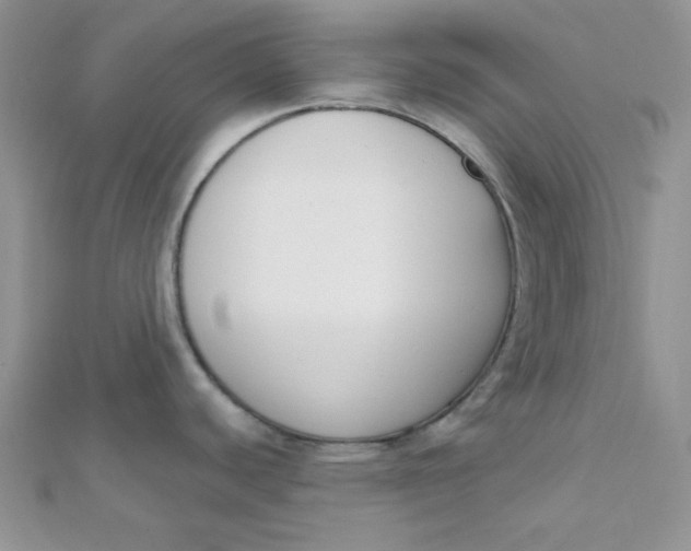 X0000112391440200909032004