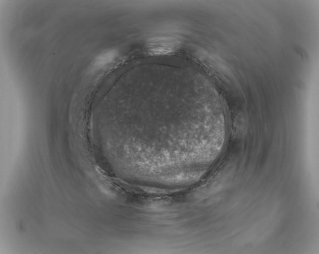 X0000112391441200909032004