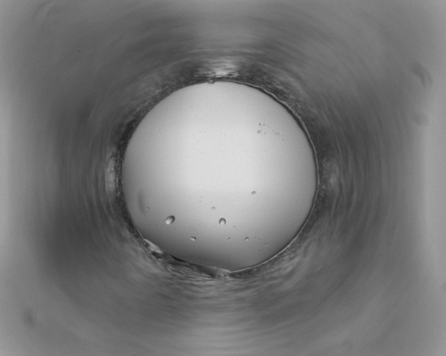 X0000112391442200909032004