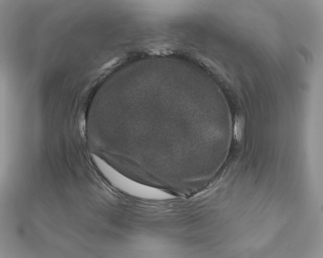 X0000112391444200909032004