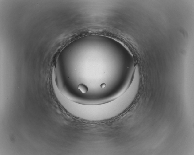 X0000112391445200909032004