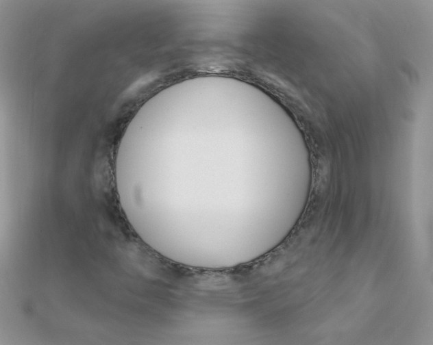 X0000112391446200909032004