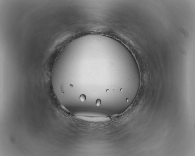 X0000112391447200909032004