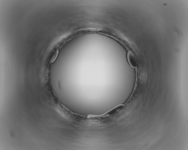 X0000112391448200909032004