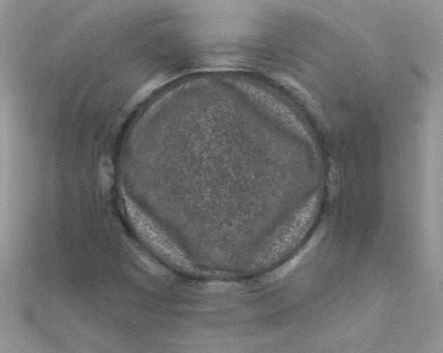 X0000112391449200909032004