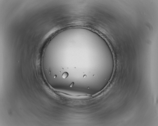 X0000112391450200909032004