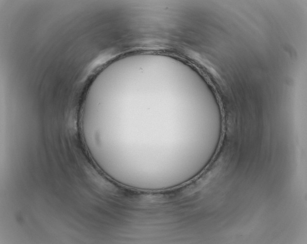 X0000112391451200909032004