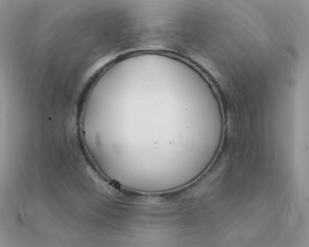 X0000112391452200909032004