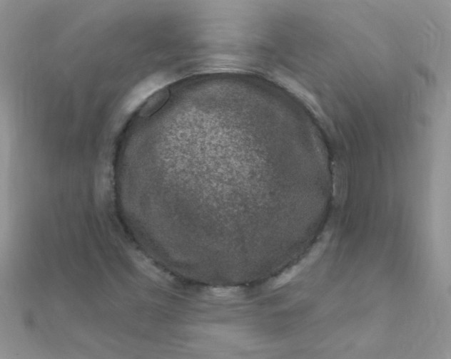 X0000112391453200909032004