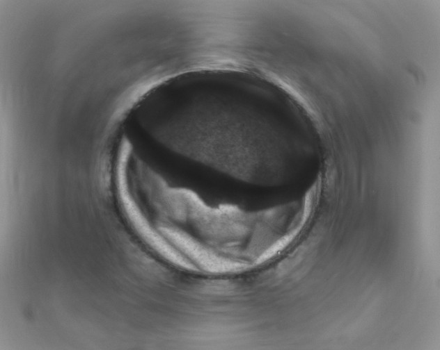 X0000112391455200909032004