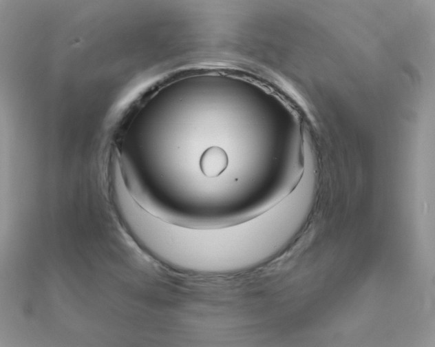 X0000112391456200909032004