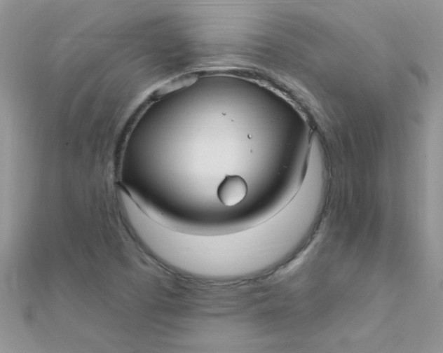 X0000112391457200909032004