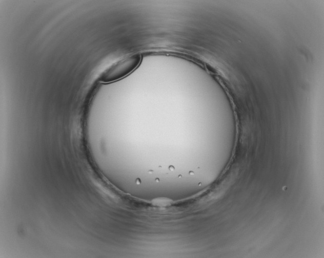 X0000112391458200909032004