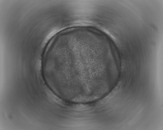 X0000112391459200909032004