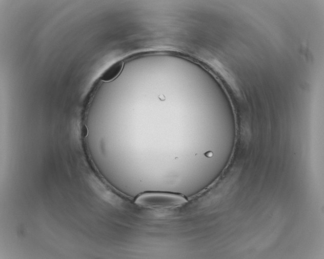 X0000112391460200909032004