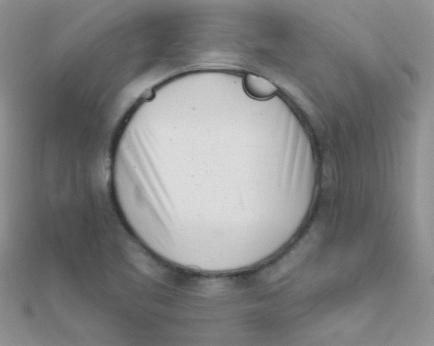 X0000112391461200909032003