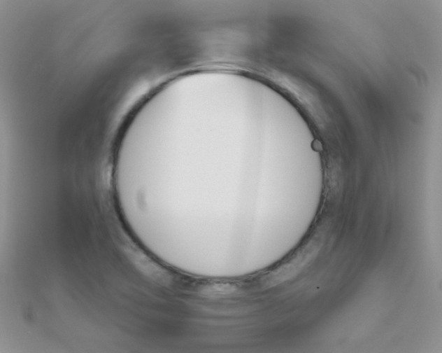 X0000112391462200909032003