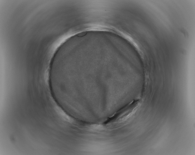 X0000112391463200909032003