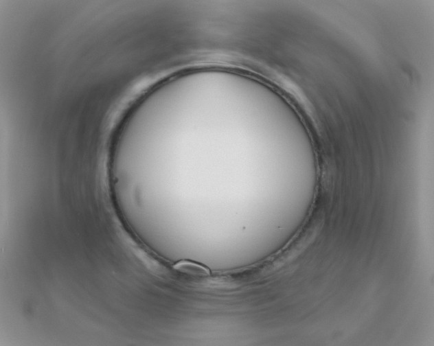 X0000112391464200909032003