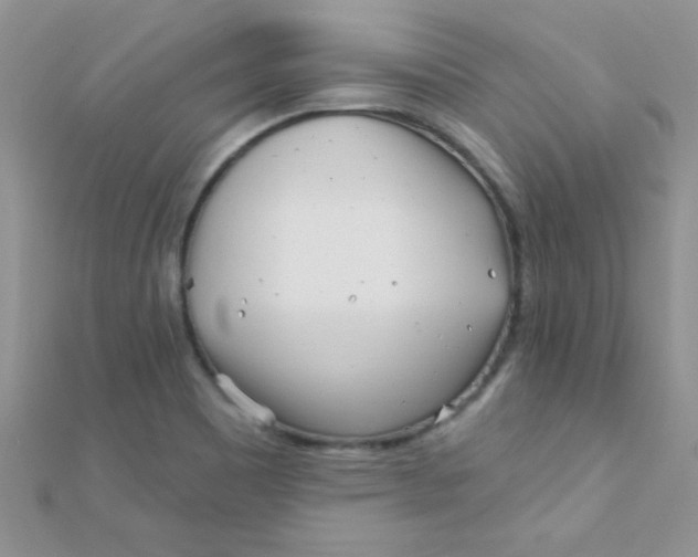 X0000112391465200909032003