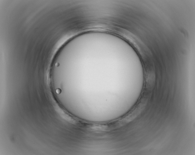 X0000112391466200909032003