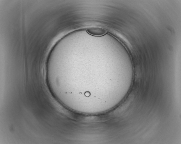 X0000112391467200909032003