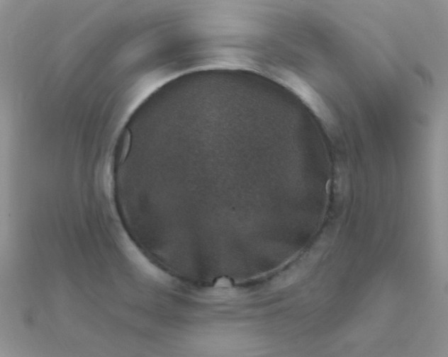 X0000112391468200909032003