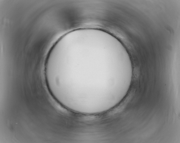 X0000112391470200909032003