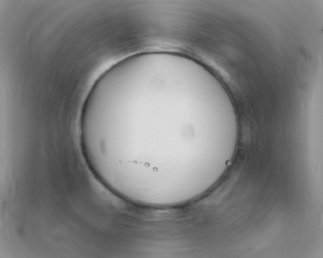 X0000112391471200909032003