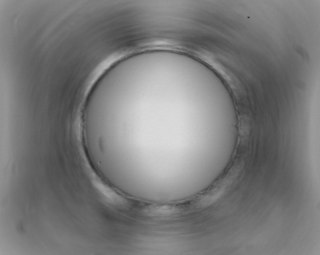 X0000112391474200909032003