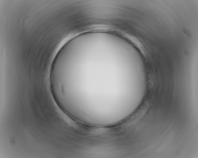 X0000112391475200909032003