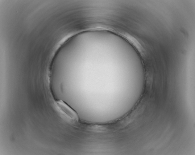 X0000112391476200909032003