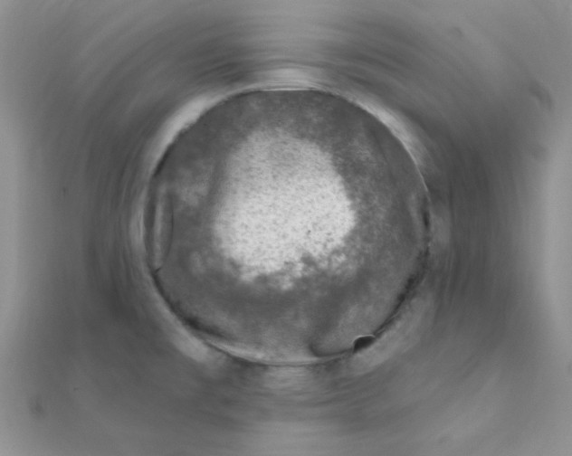 X0000112391477200909032003