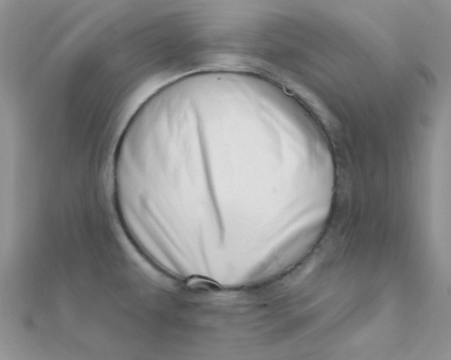 X0000112391479200909032003