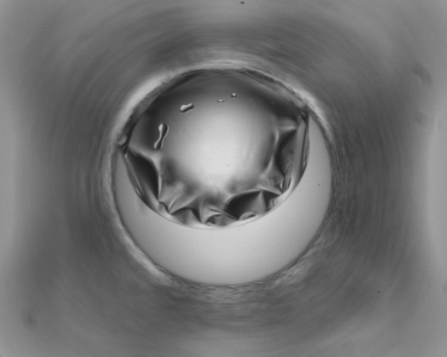 X0000112391480200909032003