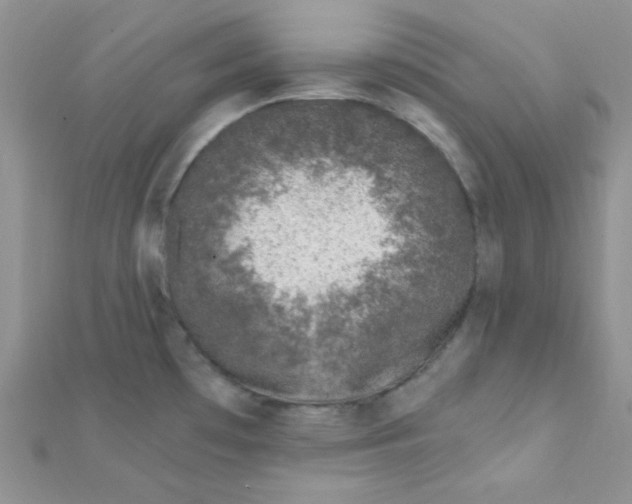 X0000112391481200909032003