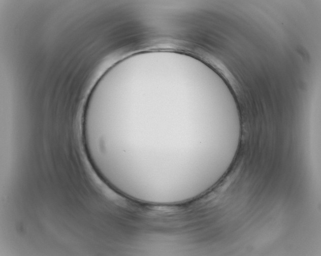 X0000112391483200909032003