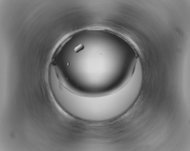 X0000112391484200909032003