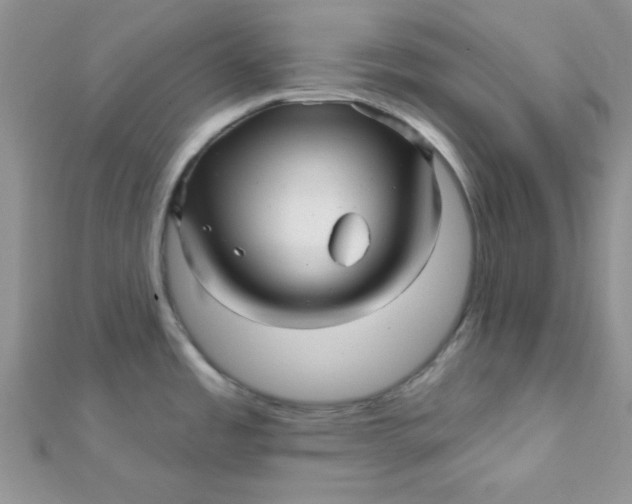 X0000112391485200909032003